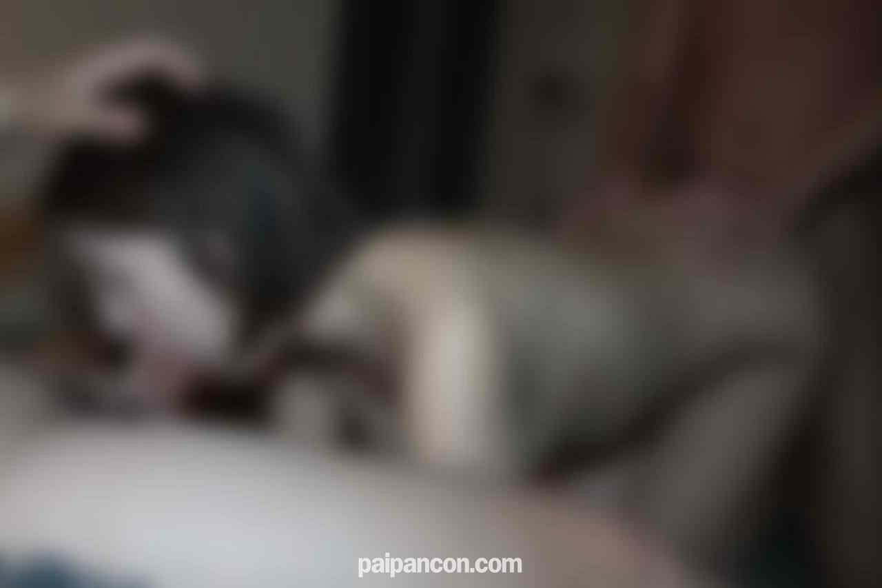 FC2-PPV-4663603 - ※10日まで初回75％OFF※【顔出し】【3ｐ】【中出し】本・気でイ/ヤがるむっちり人妻の苦/痛に満ちた表情を是非ご覧ください。 thumbnail_3.jpg